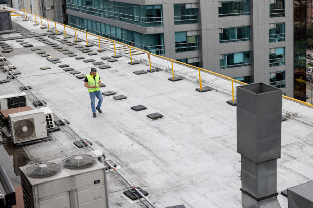 Best Roof Coating and Sealing  in Hampton, IL