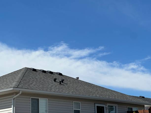 Best Siding  in Hampton, IL